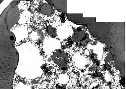 Ученые выяснили происхождение уникальных метеоритов, богатых металлом