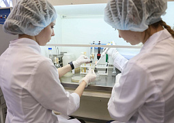 Определены 500 победителей второго конкурсного отбора на назначение стипендии Президента РФ для аспирантов и адъюнктов