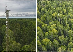 Климатические изменения влияют на потоки углекислого газа в южно-таежных лесах